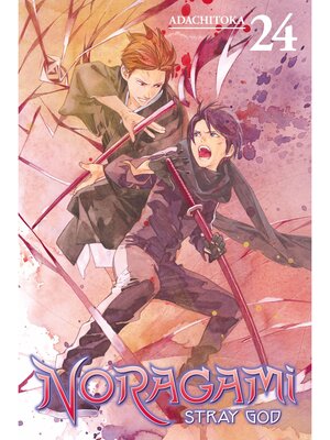 Noragami: Stray God, Volume 24 - ebook